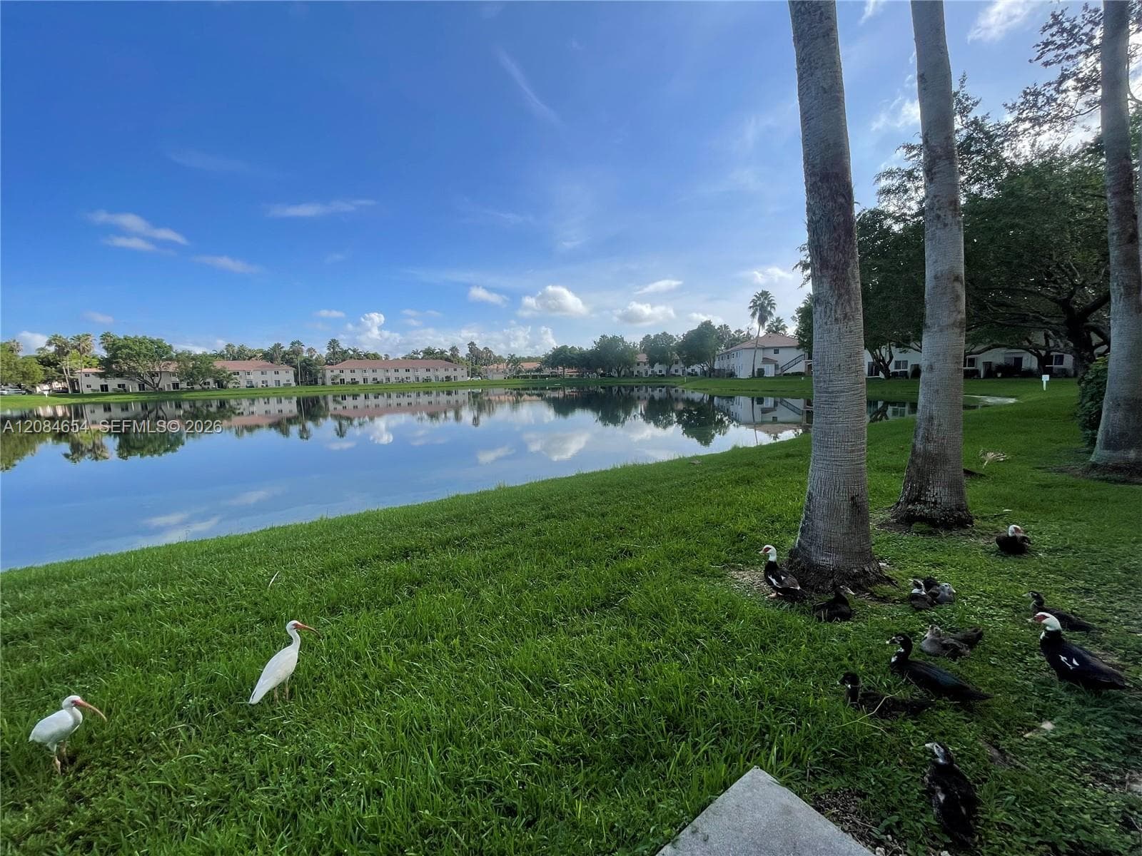 1251 SE 31st Ct # 106-54, Homestead, FL 33035 photo 9