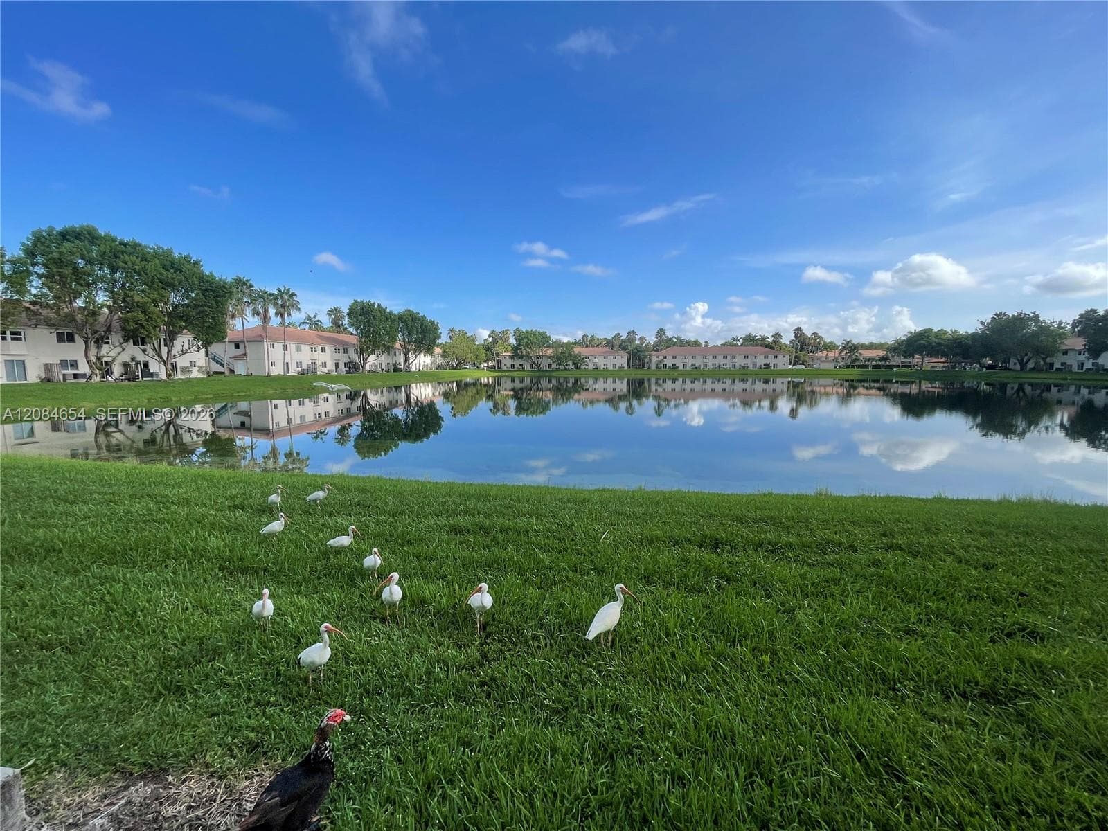1251 SE 31st Ct # 106-54, Homestead, FL 33035 photo 8