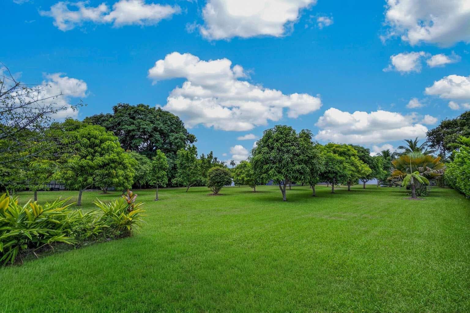 125 NE 146TH Street, Miami, FL 33161 photo 3