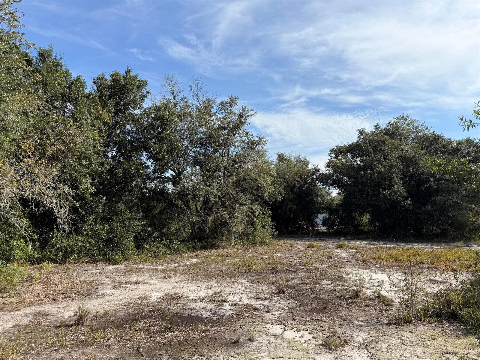 21231 NW 270TH Street, Okeechobee, FL 34972 photo 6