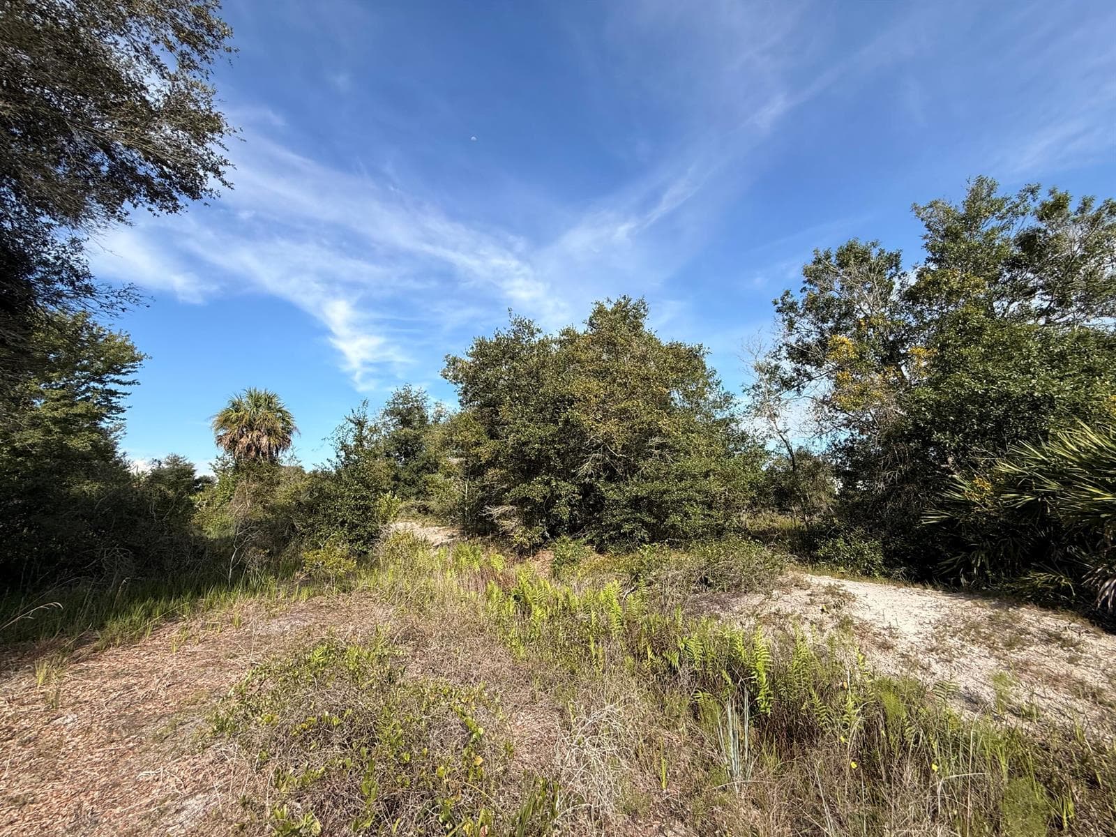 21231 NW 270TH Street, Okeechobee, FL 34972 photo 7