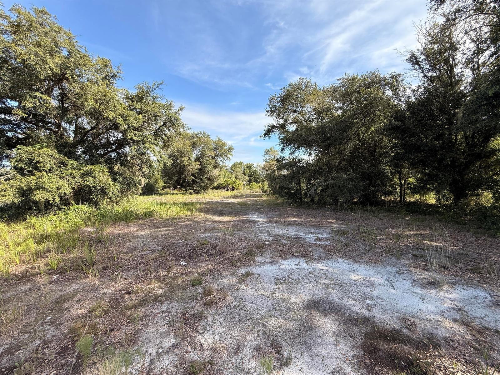 21231 NW 270TH Street, Okeechobee, FL 34972 photo 9