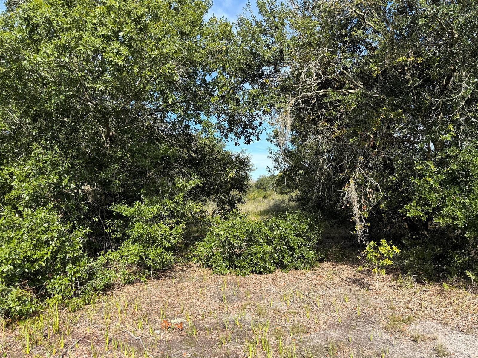 21231 NW 270TH Street, Okeechobee, FL 34972 photo 10