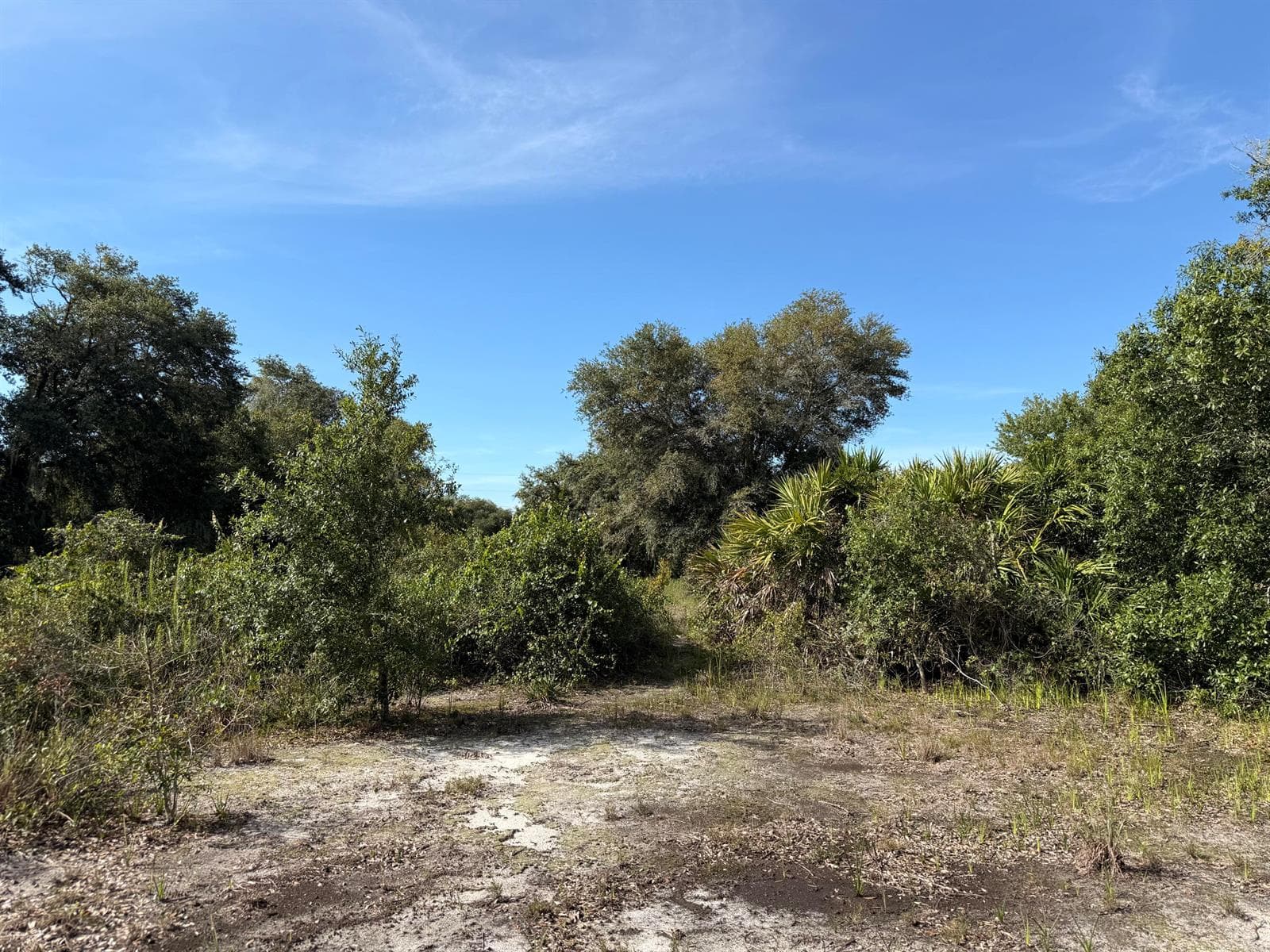 21231 NW 270TH Street, Okeechobee, FL 34972 photo 4