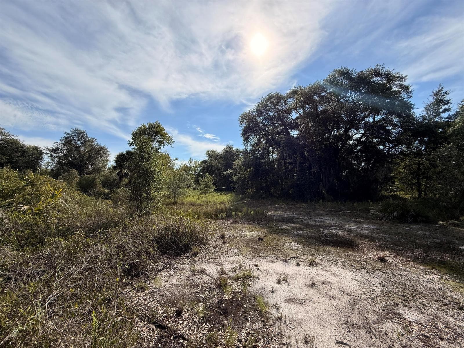 21231 NW 270TH Street, Okeechobee, FL 34972 photo 8