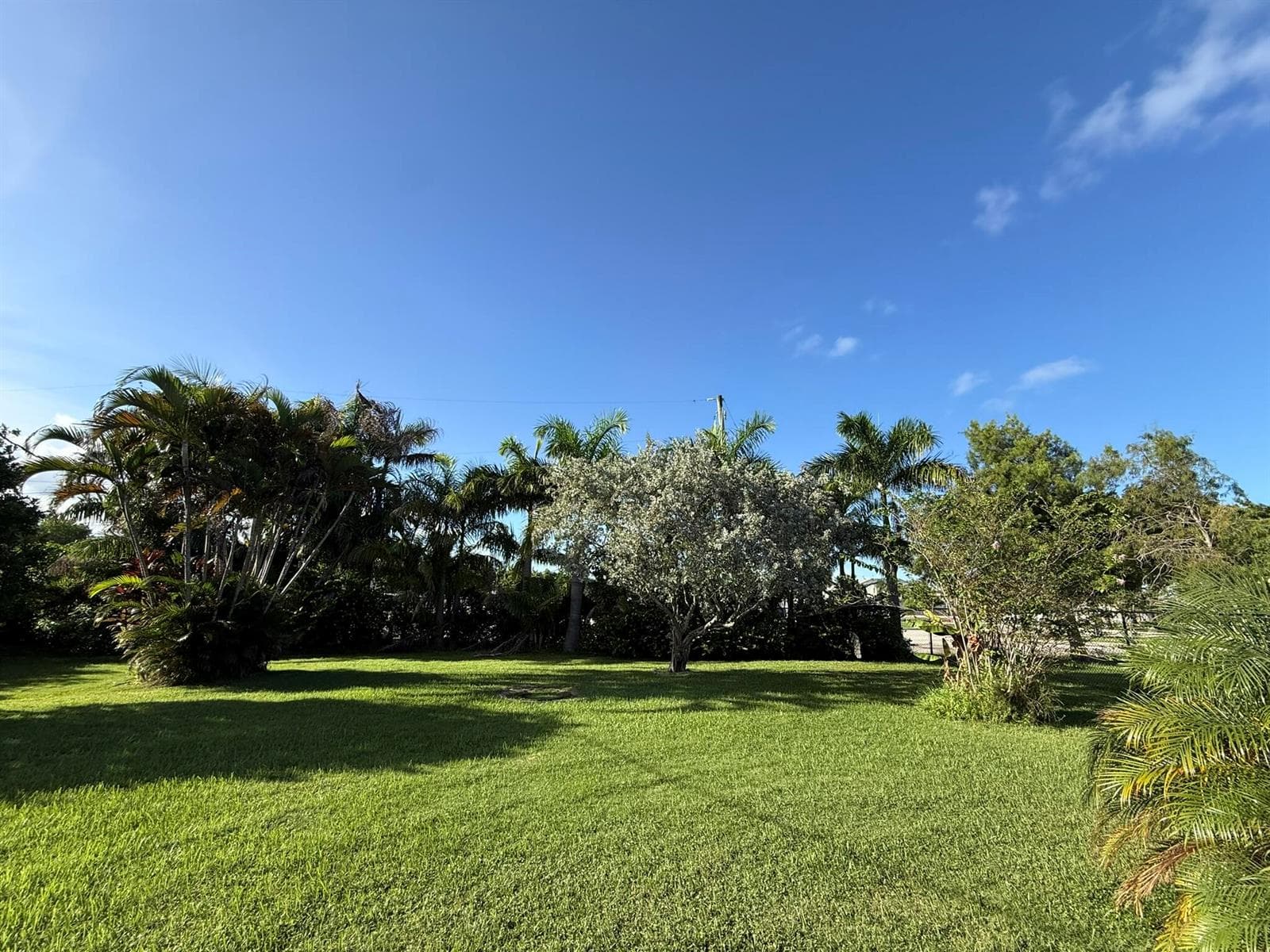 651 Oak Street, Boynton Beach, FL 33435 photo 12